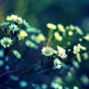 Meet your Posher, Riya